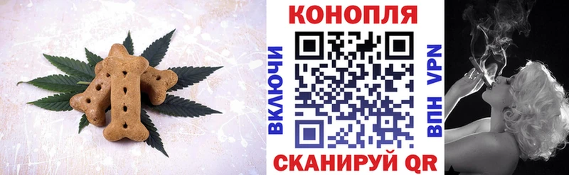 купить наркотики цена  Новомичуринск  Cannafood марихуана 