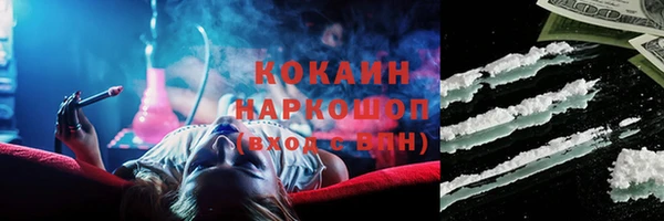 СК Медвежьегорск
