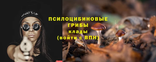 СК Медвежьегорск