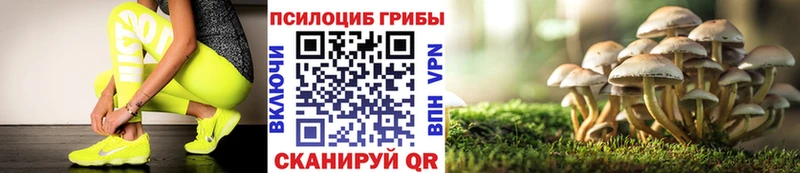 Галлюциногенные грибы GOLDEN TEACHER  Новомичуринск 