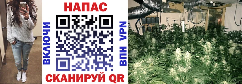 Канабис VHQ  Новомичуринск 